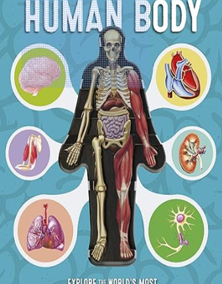 Human Body - Serenity Books