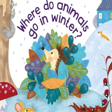 Where Do Animals Go in Winter? - Serenity Books