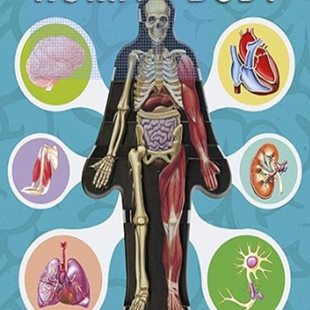 Human Body - Serenity Books